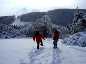 Schneeschuhwandernbild